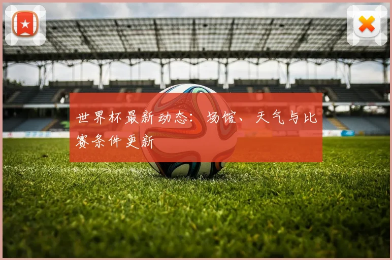 世界杯最新动态:场馆、天气与比赛条件更新